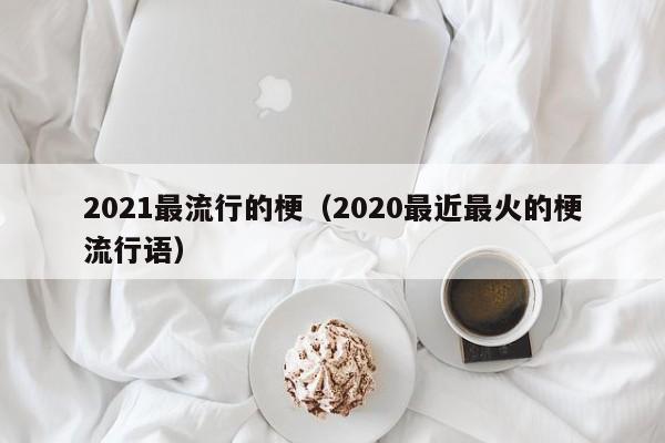 2021最流行的梗（2020最近最火的梗流行语）