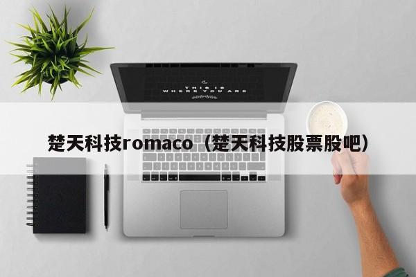 楚天科技romaco（楚天科技股票股吧）