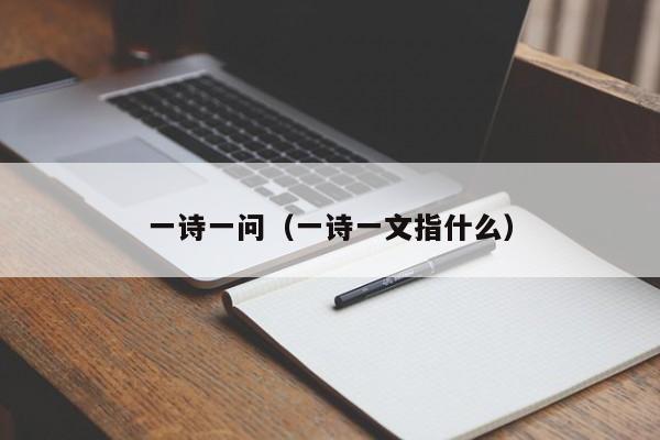 一诗一问（一诗一文指什么）