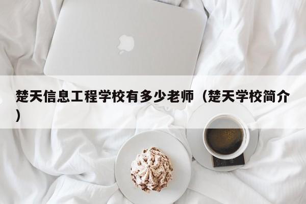 楚天信息工程学校有多少老师（楚天学校简介）