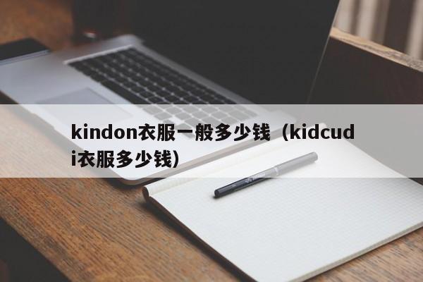 kindon衣服一般多少钱（kidcudi衣服多少钱）