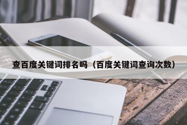 查百度关键词排名吗（百度关键词查询次数）