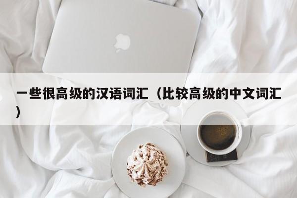 一些很高级的汉语词汇（比较高级的中文词汇）