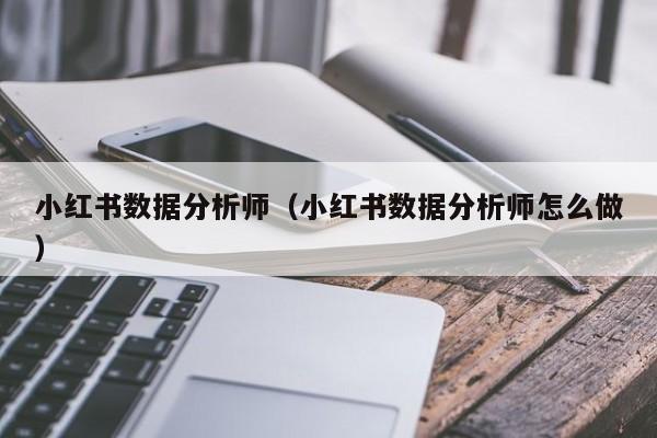 小红书数据分析师（小红书数据分析师怎么做）