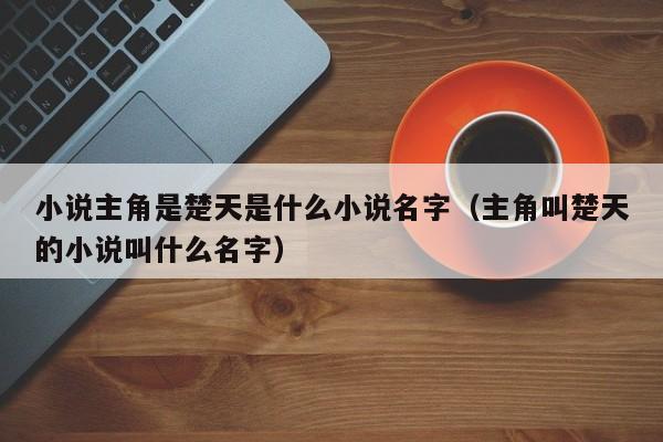 小说主角是楚天是什么小说名字（主角叫楚天的小说叫什么名字）