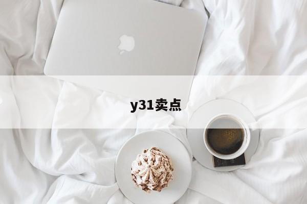  y31卖点