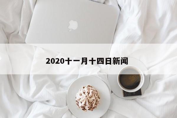 2020十一月十四日新闻 